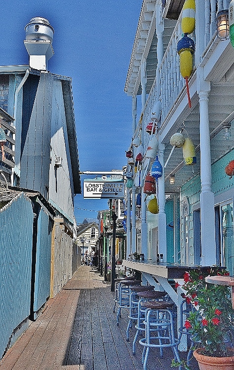 Oak Bluffs harbor businesses